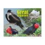 Great Frigatebird, Midway Atoll, Hawaiian Islands Postcards
