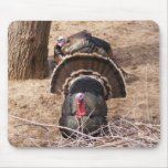 Great Gobblers! Mouse Pads