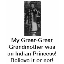 Great Grandmother Was An Indian Princess Tees - Tees