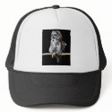Great gray owl cap hats by Junglegeorge Great gray owl cap hats