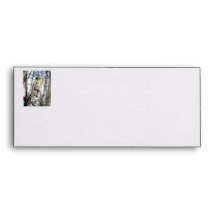 Great Gray Owl - Creamy Brown Watcher Envelope