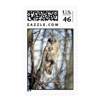 Great Gray Owl - Creamy Brown Watcher Postage Stamp