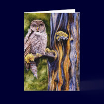 Great Gray Owl, Greeting Card
