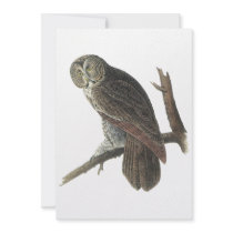 Great Gray Owl, John Audubon Announcements