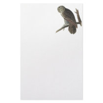 Great Gray Owl, John Audubon Custom Stationery