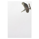 Great Gray Owl, John Audubon Custom Stationery