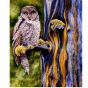 Great Gray Owl Photo Sculpture photo sculptures