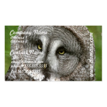 Great Grey Owl Business Card
