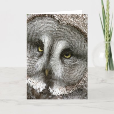 Great Grey Owl Greeting Card