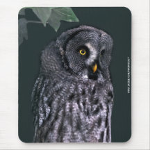 Great Grey Owl Mouse Pads