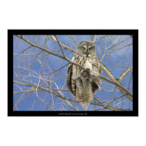 Great Grey Owl posters by DigitalApoptosis Great Grey Owl posters