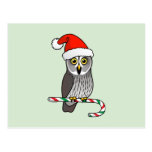 Great Grey Owl Santa Post Card