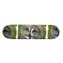 Great Grey Owl Skateboard