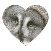 Great Grey Owl Stickers