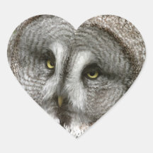 Great Grey Owl Stickers