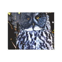 Great Grey Owl wrap around canvas Stretched Canvas Print