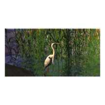 Great Heron at Meteor Lake Photo Cards