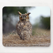 Great Horned Owl - 2 - 9 - 08 Mouse Pads
