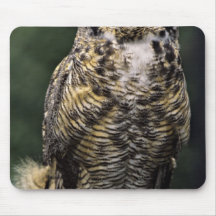 Great Horned Owl (Bubo virginianus), full body Mouse Pads