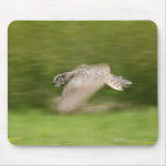 Great Horned Owl (Bubo virginianus) Mouse Pad