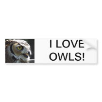 Great Horned Owl Bumper Sticker