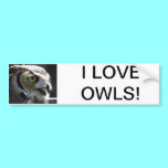 Great Horned Owl bumper stickers