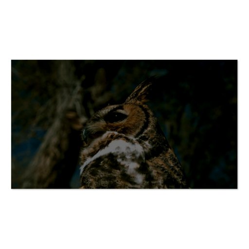Great Horned Owl Business Cards (back side)