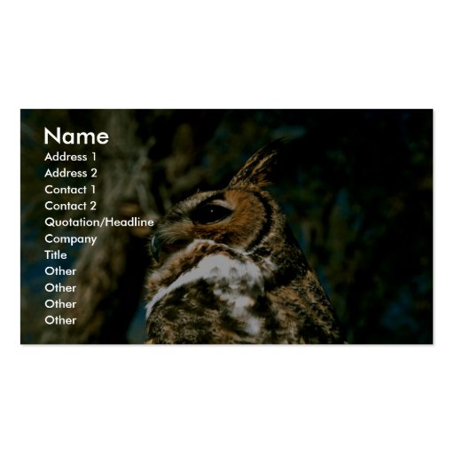 Great Horned Owl Business Cards (front side)