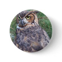 Great Horned Owl Pinback Buttons
