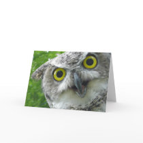 Great-Horned Owl Greeting Cards