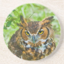 Great Horned Owl Coaster