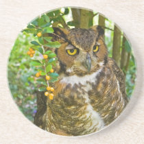 Great Horned Owl Coaster coasters