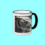 Great Horned Owl mugs