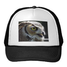 Great Horned Owl Hat