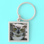 Great Horned Owl keychains