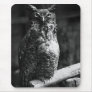 Great Horned Owl Mouse Mats