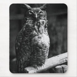 Great Horned Owl Wood Carving