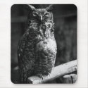 Great Horned Owl mousepads by kahmier Great Horned Owl mousepads