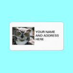 Great Horned Owl labels