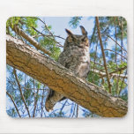 Great Horned Owl Photo Mouse Pads