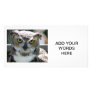 Great Horned Owl Photo Cards
