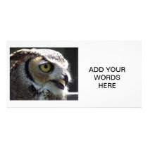 Great Horned Owl Personalized Photo Card