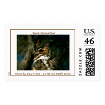Great Horned Owl Stamps