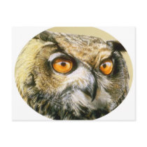 Great-Horned-Owl postcards