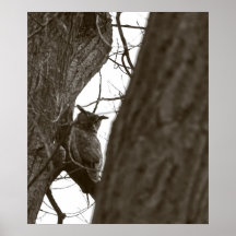Great Horned Owl Print