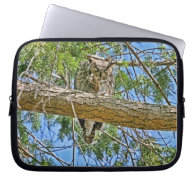 Great Horned Owl Sleeping Photo Laptop Computer Sleeves