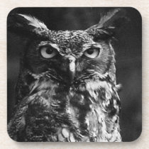 Great Horned Owl Square Coasters cork coasters