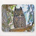 Great Horned Owl Staring Mousepads