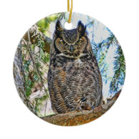Great Horned Owl Staring Ornaments
