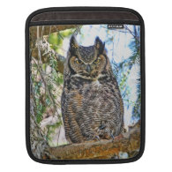 Great Horned Owl Staring Sleeves For iPads